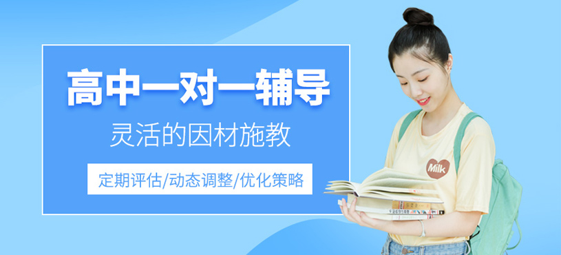 高中一對(duì)一輔導(dǎo)