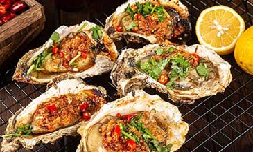 提升專業(yè)素養(yǎng)