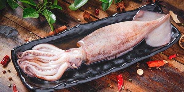 魷魚