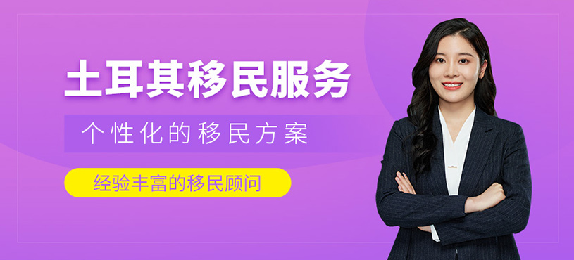 土耳其移民服務