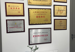 獎(jiǎng)牌環(huán)境