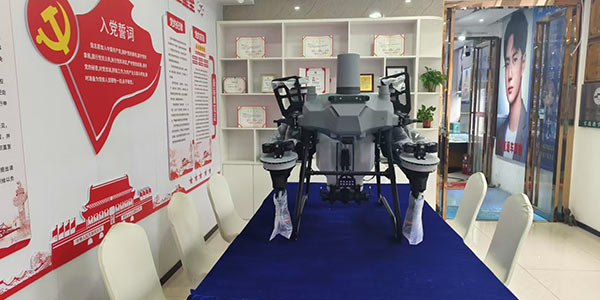 模型