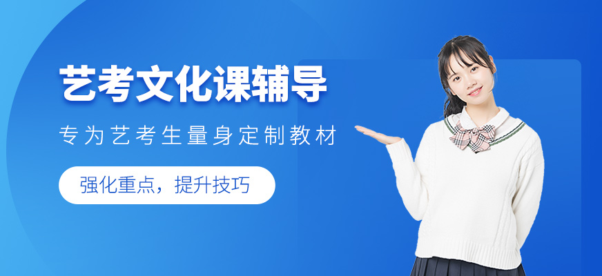 藝考文化課輔導(dǎo)