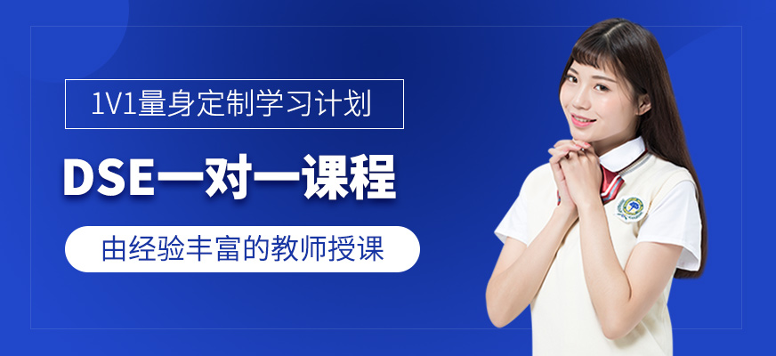DSE一對(duì)一課程