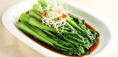 適合學(xué)員