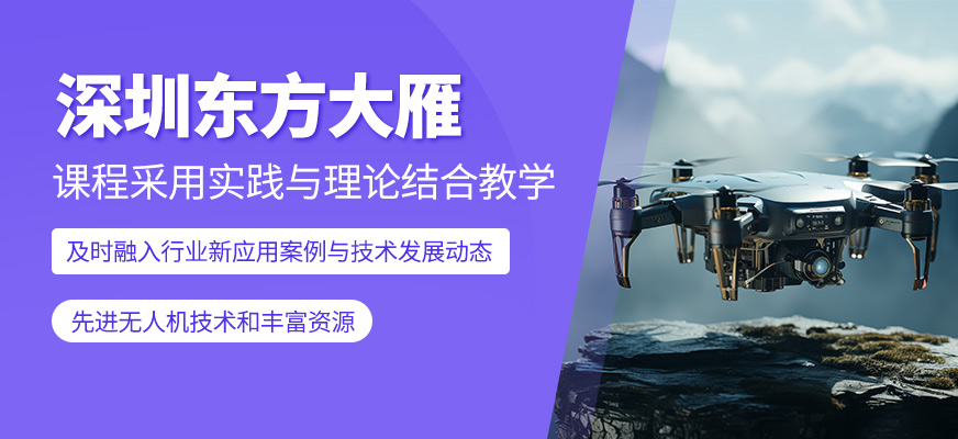 深圳東方大雁