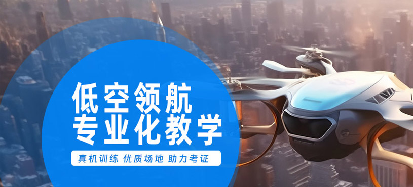 低空領航