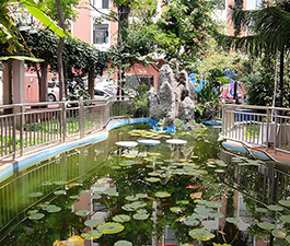 昆明步學校園景色