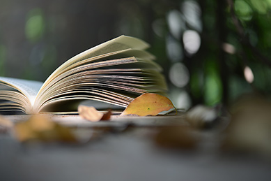 自考本科申請(qǐng)畢業(yè)時(shí)需要提交什么材料？