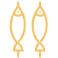 種類(lèi)豐富