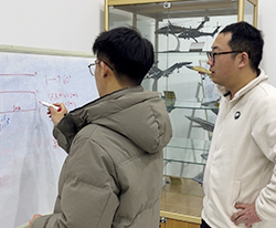 理論學(xué)習(xí)