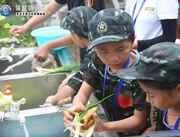 洗菜