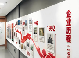 企業(yè)歷程