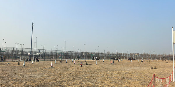 寧河校區(qū)無(wú)人機(jī)飛行環(huán)境