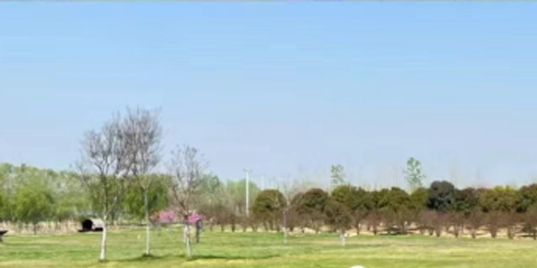 室外訓練環境