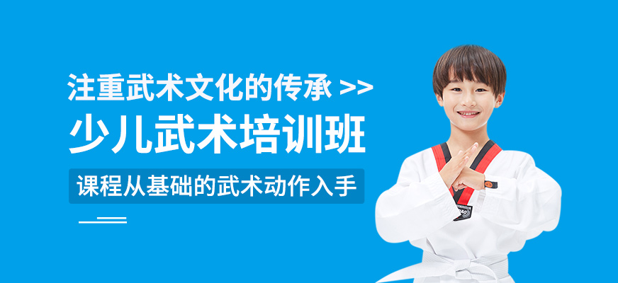 少兒武術(shù)培訓課程