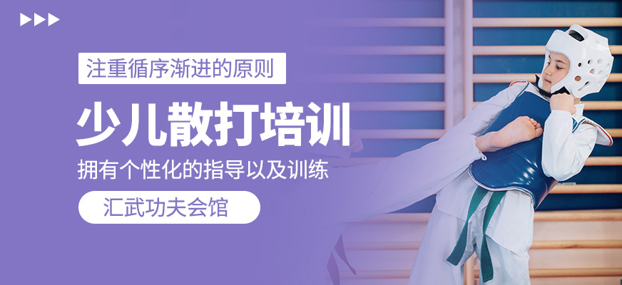 少兒散打培訓(xùn)