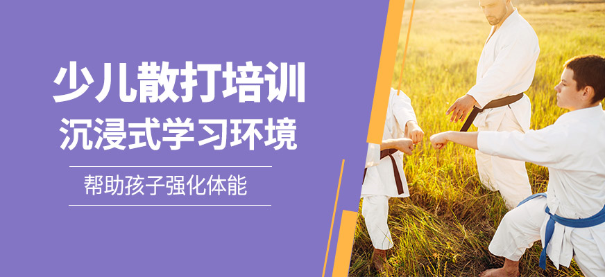 少兒散打培訓(xùn)班