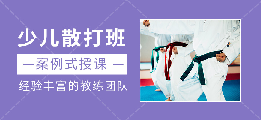 少兒散打?qū)W習