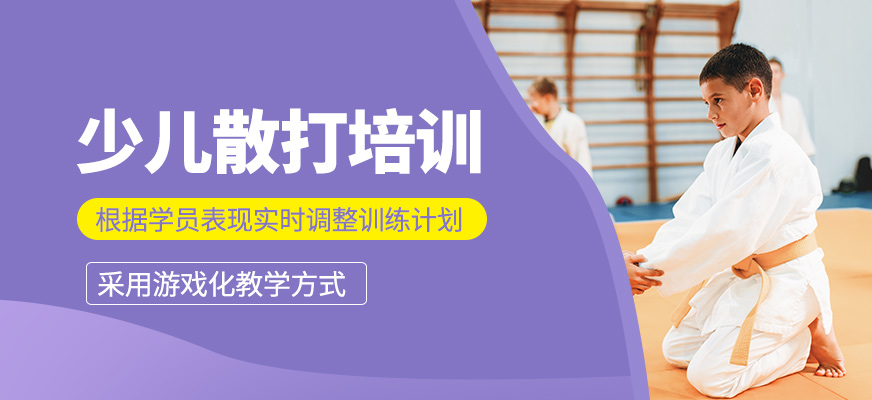少兒散打?qū)W習(xí)班