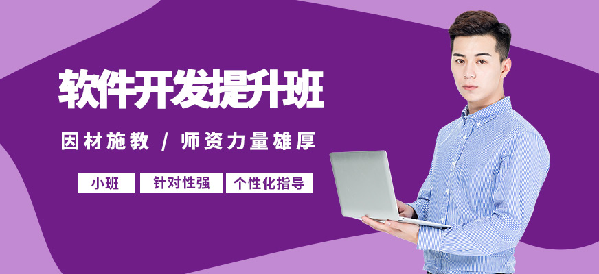 達(dá)內(nèi)軟件開(kāi)發(fā)提升班