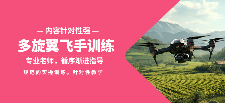 能飛多旋翼飛手訓練