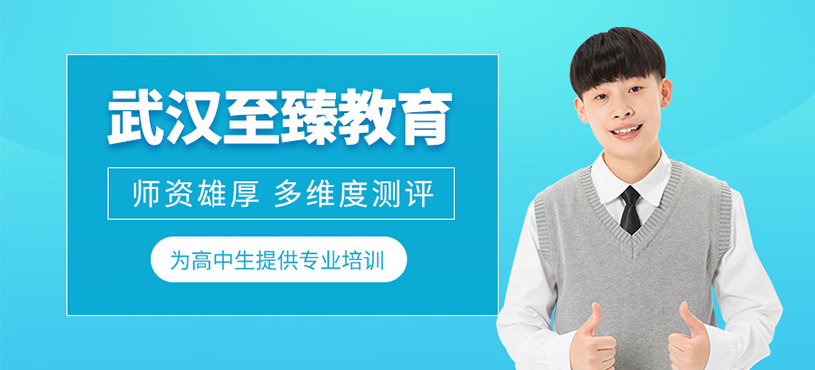 武漢至臻教育