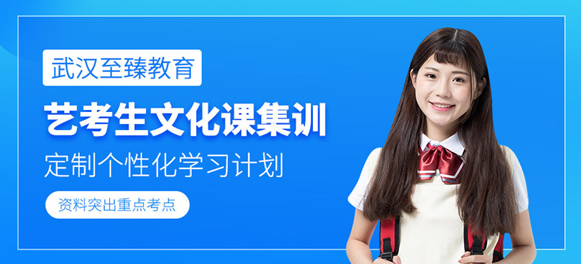 武漢藝考生文化課集訓