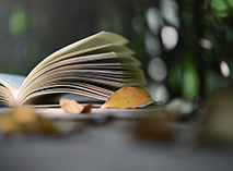 書籍