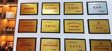榮譽(yù)展示