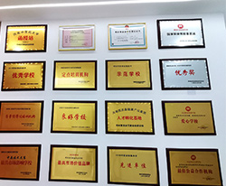 榮譽(yù)展示