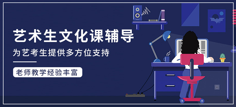 藝術(shù)生文化課輔導(dǎo)