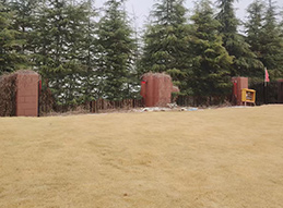訓(xùn)練場地