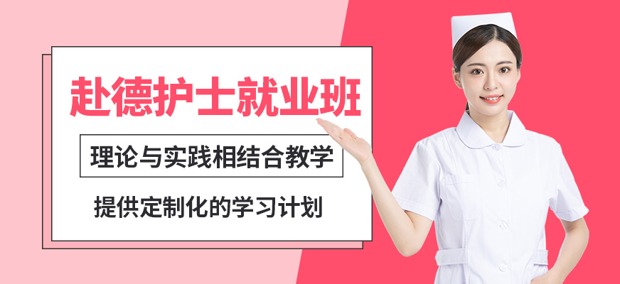 嘉德誠醫赴德護士就業班