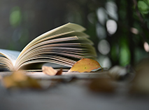 書籍