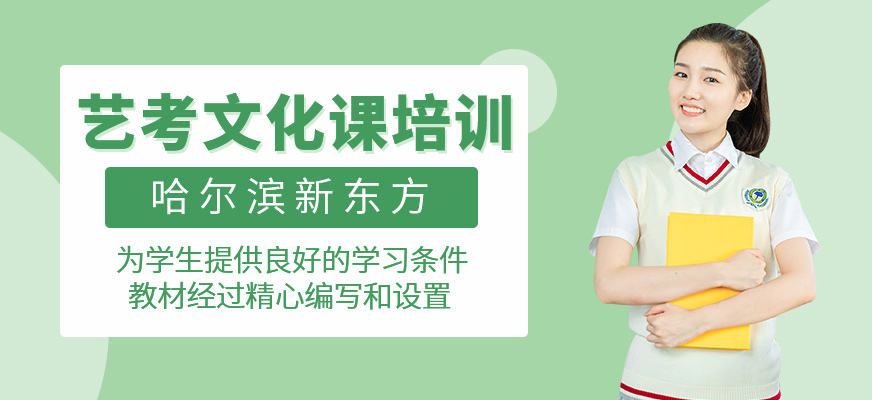 藝考文化課培訓(xùn)