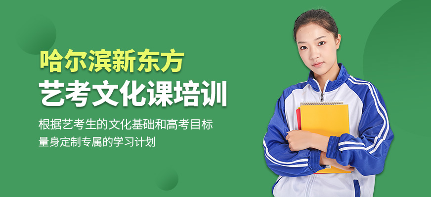 藝考文化課輔導(dǎo)