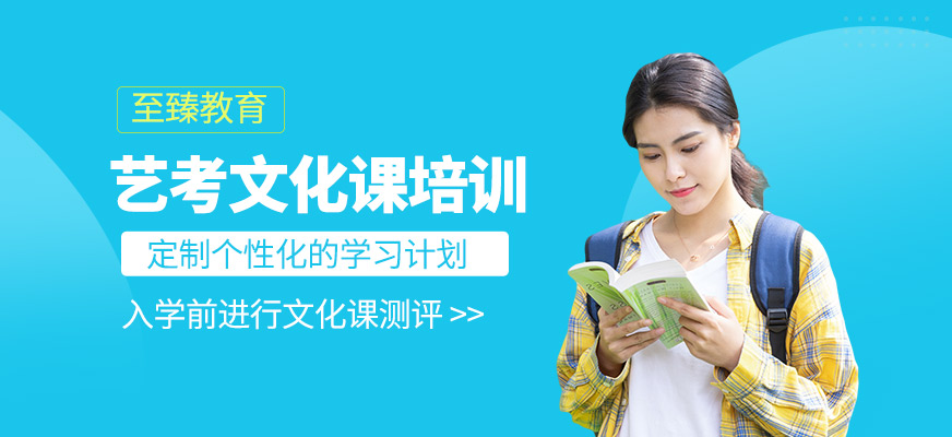 藝考文化課培訓班