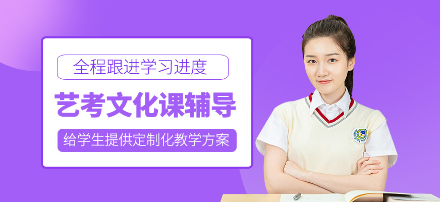 藝考文化課培訓(xùn)課程