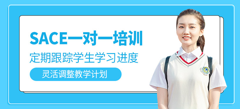 SACE一對(duì)一培訓(xùn)