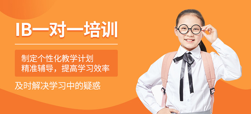 IB一對一培訓(xùn)