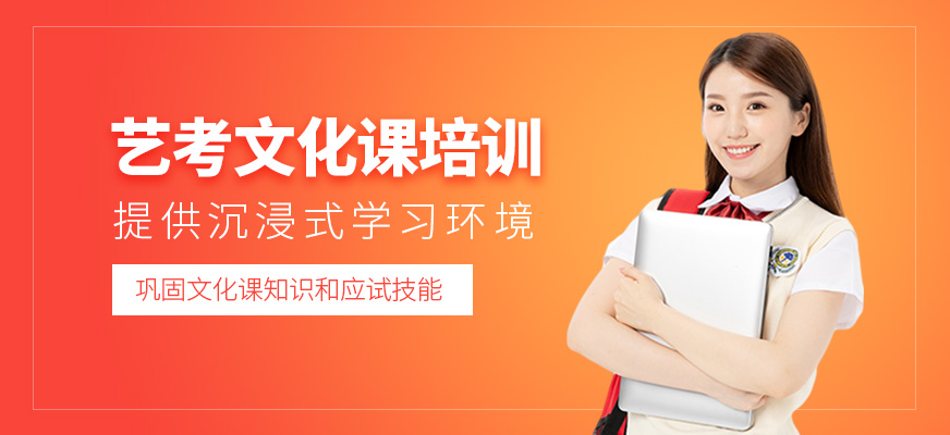 藝考文化課培訓(xùn)
