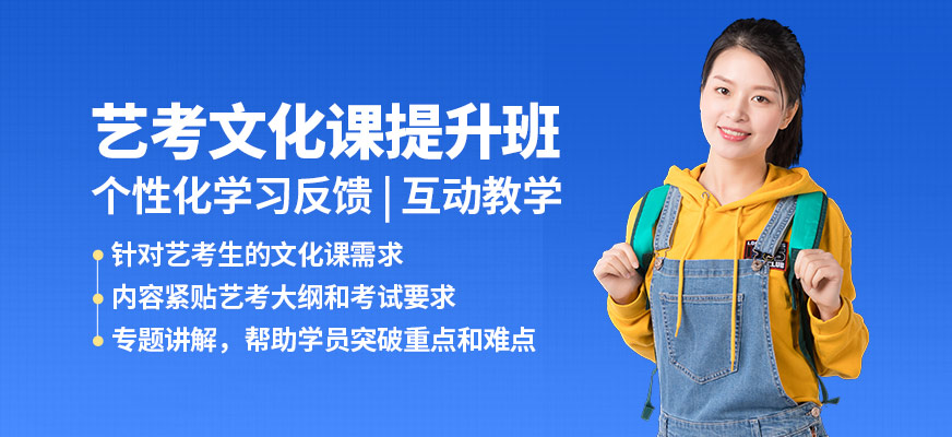 杭州塔夫藝考文化課提升班