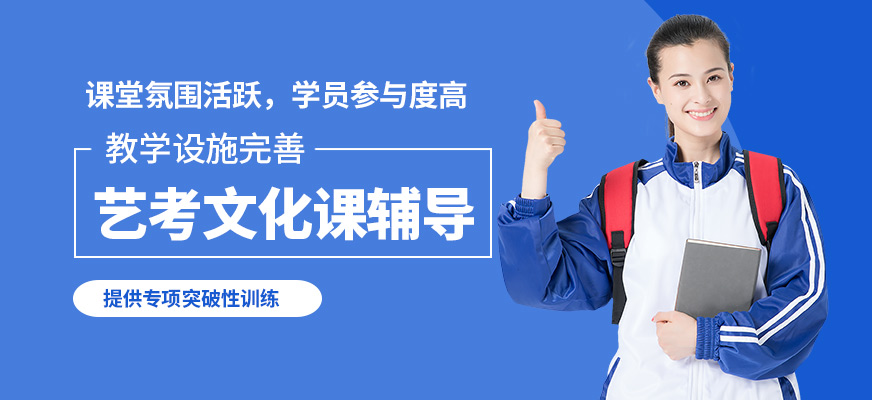 杭州塔夫藝考文化課輔導