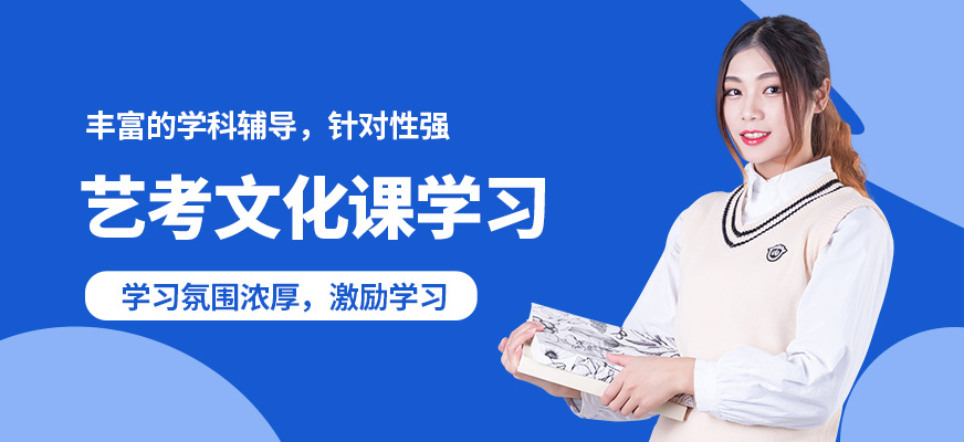 杭州塔夫藝考文化課學習