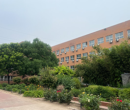 校園環(huán)境