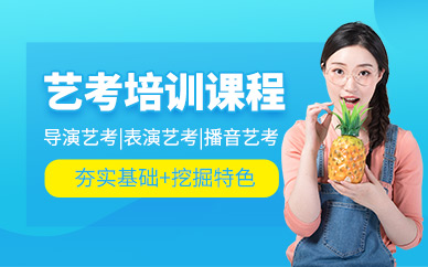 深圳藝考課程