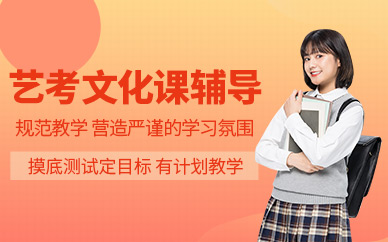 濟南藝考文化課學習班