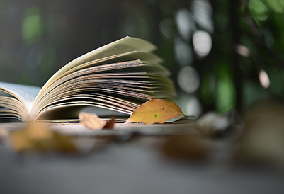 書籍