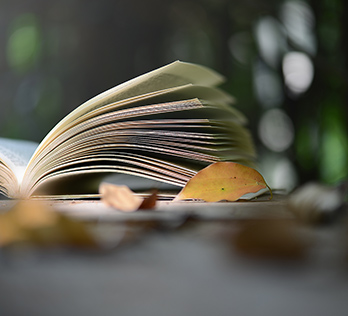 書籍